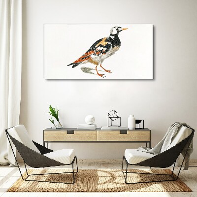 Foto auf leinwand Vogel auf weißem Hintergrund