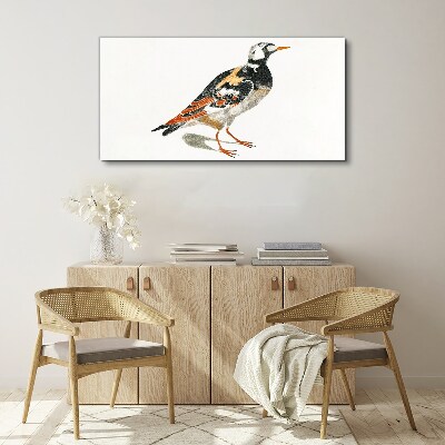 Foto auf leinwand Vogel auf weißem Hintergrund