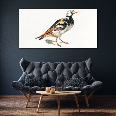 Foto auf leinwand Vogel auf weißem Hintergrund
