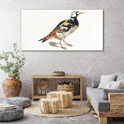 Foto auf leinwand Vogel auf weißem Hintergrund