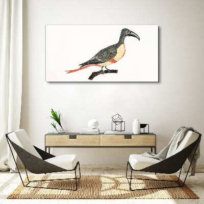 Bild auf leinwand Tukan auf einem Ast