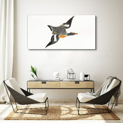 Foto auf leinwand Fliegende Gans in den Farben der Natur