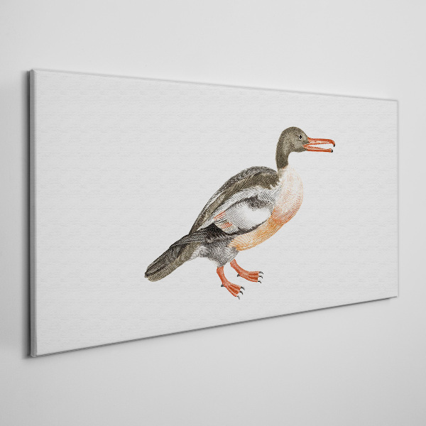Foto auf leinwand Ente auf weißem Leinwandhintergrund