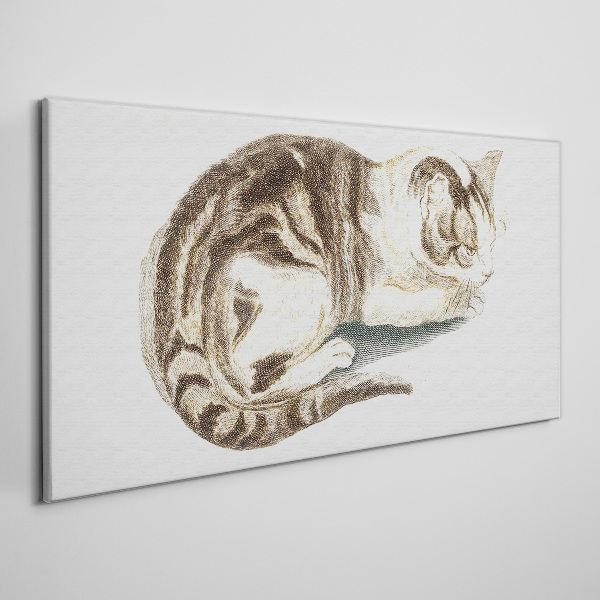 Bild auf leinwand Schläfrige Katze auf weißem Hintergrund