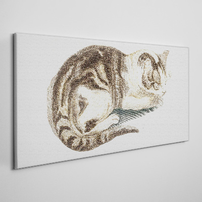 Bild auf leinwand Schläfrige Katze auf weißem Hintergrund