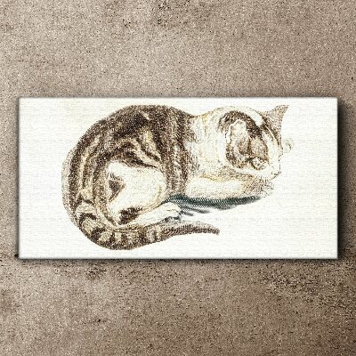 Bild auf leinwand Schläfrige Katze auf weißem Hintergrund