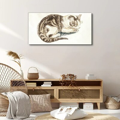 Bild auf leinwand Schläfrige Katze auf weißem Hintergrund