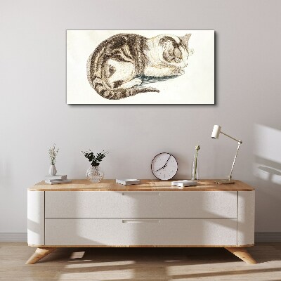 Bild auf leinwand Schläfrige Katze auf weißem Hintergrund