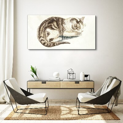 Bild auf leinwand Schläfrige Katze auf weißem Hintergrund