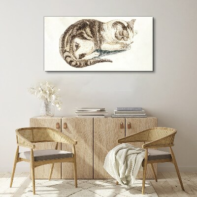 Bild auf leinwand Schläfrige Katze auf weißem Hintergrund