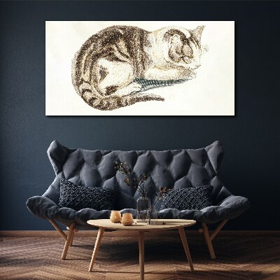 Bild auf leinwand Schläfrige Katze auf weißem Hintergrund