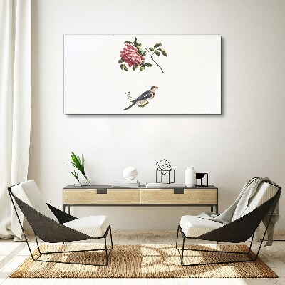 Bild auf leinwand Rose und Vogel auf weißem Hintergrund