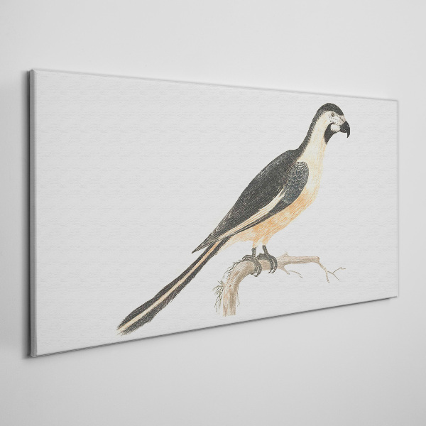 Foto auf leinwand Vogel auf einem Ast