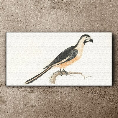 Foto auf leinwand Vogel auf einem Ast