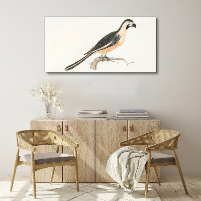 Foto auf leinwand Vogel auf einem Ast