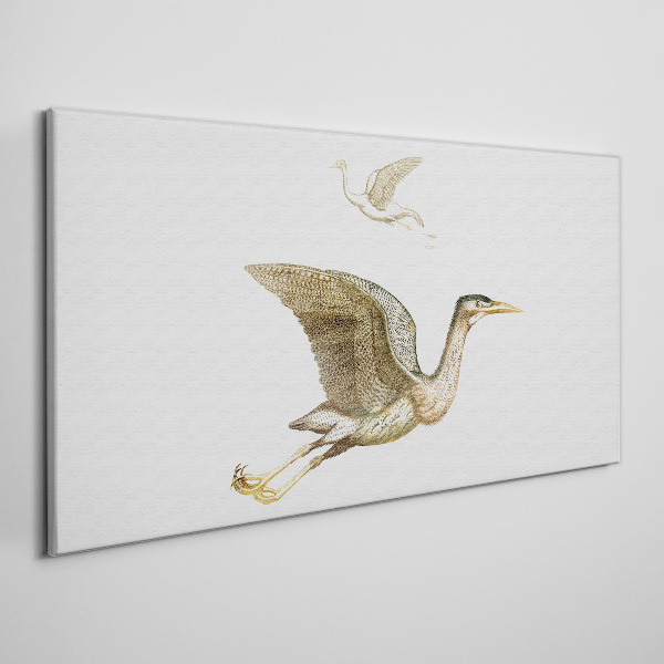 Foto auf leinwand Vogelflug über ruhigem Wasser
