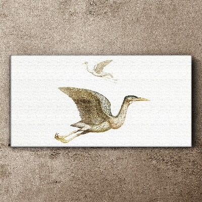Foto auf leinwand Vogelflug über ruhigem Wasser