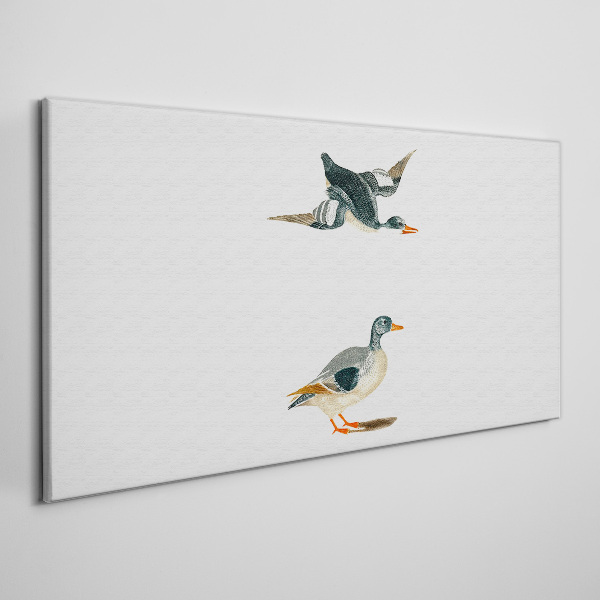 Foto auf leinwand Wasservögel im Flug und am Boden