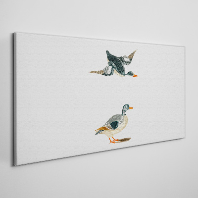 Foto auf leinwand Wasservögel im Flug und am Boden