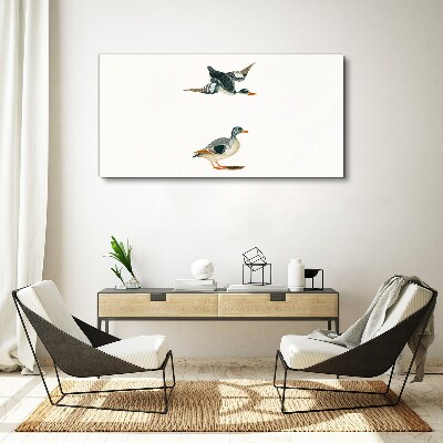 Foto auf leinwand Wasservögel im Flug und am Boden