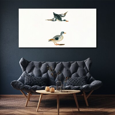 Foto auf leinwand Wasservögel im Flug und am Boden