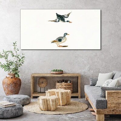 Foto auf leinwand Wasservögel im Flug und am Boden