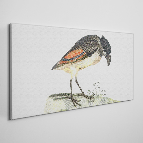Foto auf leinwand Ein Vogel vor einem natürlichen Hintergrund