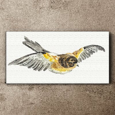 Foto auf leinwand Der majestätische Flug eines Vogels