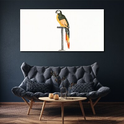 Foto leinwand Ein Papagei vor einer weißen Wand