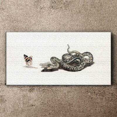 Foto auf leinwand Zeichnen eines Tierschlangenschmetterlings