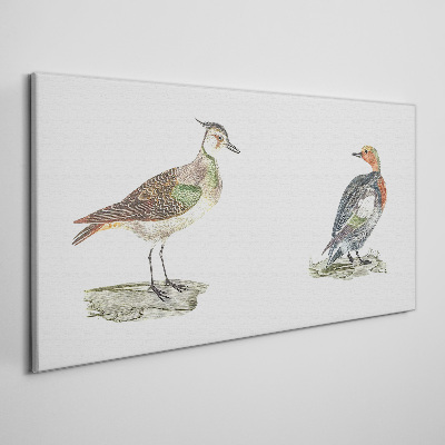 Foto leinwand Bunte Vögel auf weißem Hintergrund