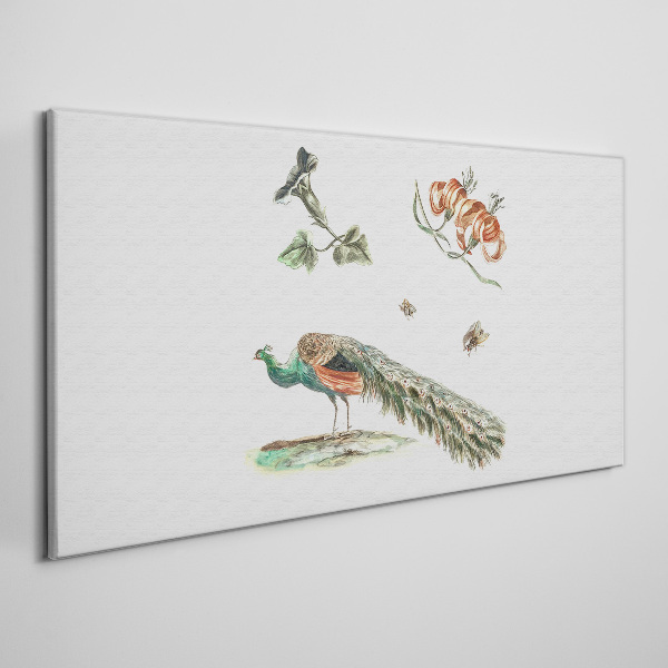Bild auf leinwand Pfau zwischen Blumen und Insekten