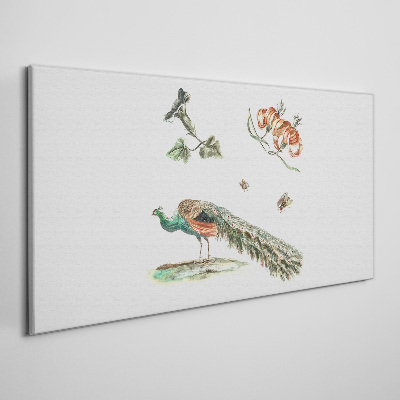 Bild auf leinwand Pfau zwischen Blumen und Insekten