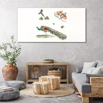 Bild auf leinwand Pfau zwischen Blumen und Insekten