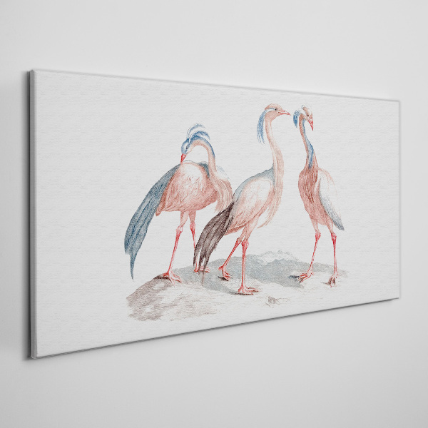 Foto auf leinwand Drei rosa Flamingos auf weißem Hintergrund