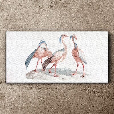 Foto auf leinwand Drei rosa Flamingos auf weißem Hintergrund