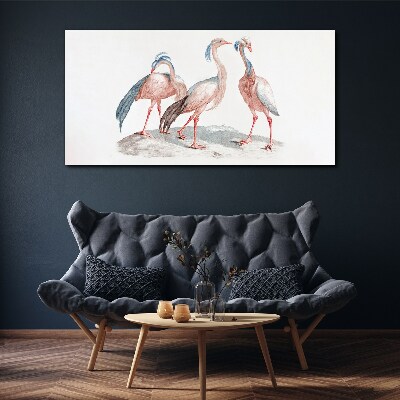 Foto auf leinwand Drei rosa Flamingos auf weißem Hintergrund