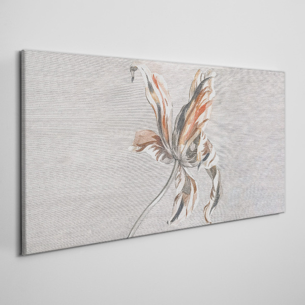 Foto auf leinwand Eine zarte Blume auf grauem Hintergrund