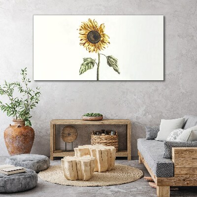 Foto auf leinwand Blumen Pflanzen