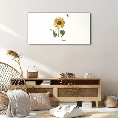 Foto auf leinwand Sonnenblume in zarter Komposition