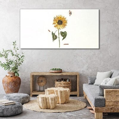 Foto auf leinwand Blumen Pflanzen