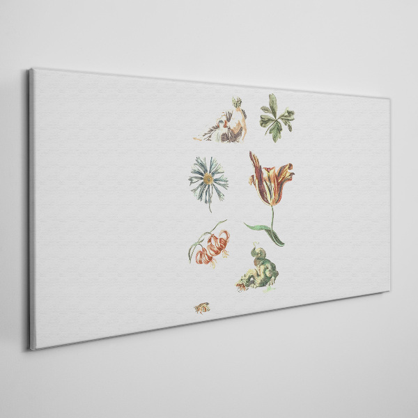 Bild auf leinwand Florale Inspirationen in zarten Farben