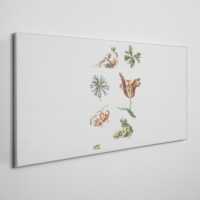 Bild auf leinwand Florale Inspirationen in zarten Farben