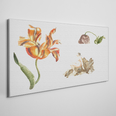 Foto auf leinwand Florale Motive in zarten Farbtönen