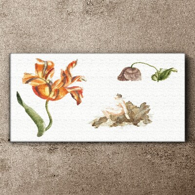 Foto auf leinwand Florale Motive in zarten Farbtönen