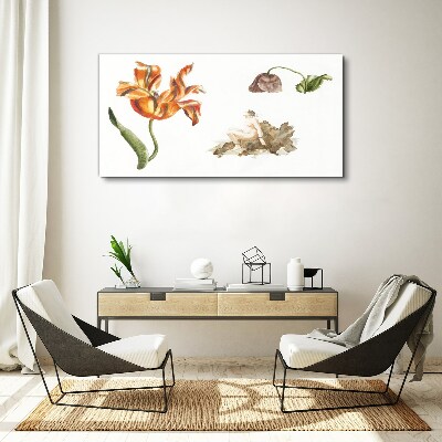 Foto auf leinwand Florale Motive in zarten Farbtönen