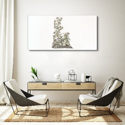 Foto auf leinwand Pflanzen in sanftem Licht
