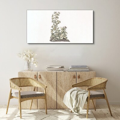 Foto auf leinwand Pflanzen in sanftem Licht