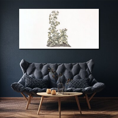 Foto auf leinwand Pflanzen in sanftem Licht