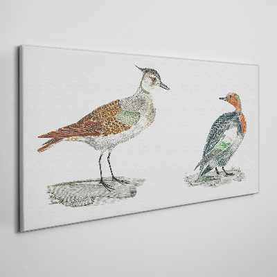 Foto auf leinwand Vögel in den Farben der Natur